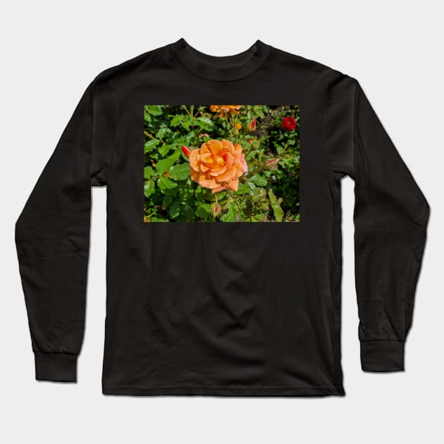 Orange Rose Long Sleeve T-Shirt by Photomisak72